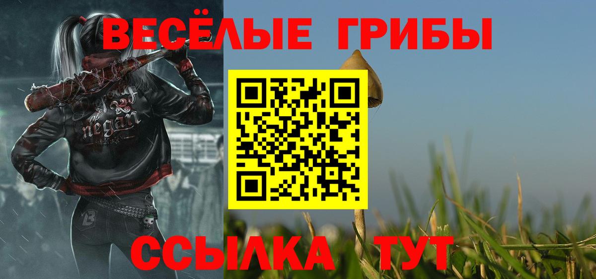 Котельники  Галлюциногенные грибы MAGIC MUSHROOMS  Вход с VPN 
